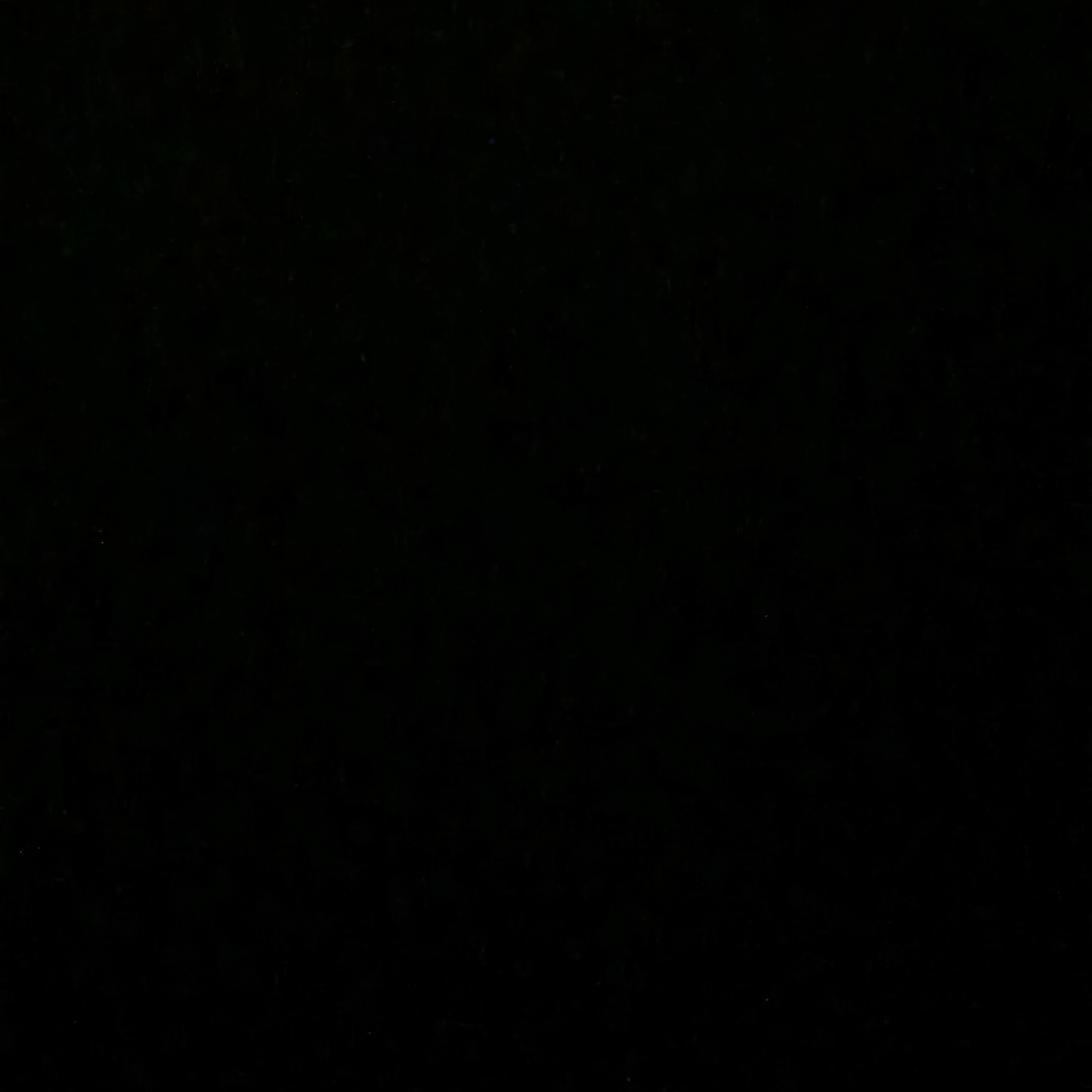 Workshop Front